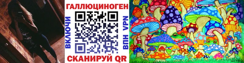 где найти   Спасск-Дальний  Псилоцибиновые грибы прущие грибы 