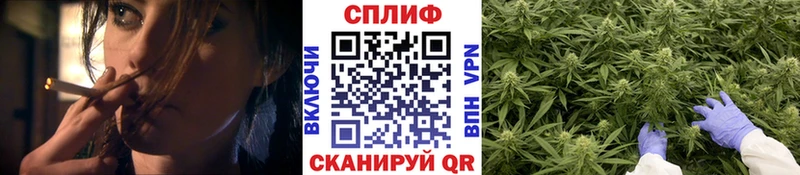 Каннабис планчик Спасск-Дальний